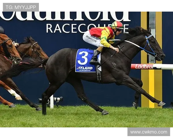 体育联赛自选爵士是什么（体育联赛自选爵士是什么意思）sports