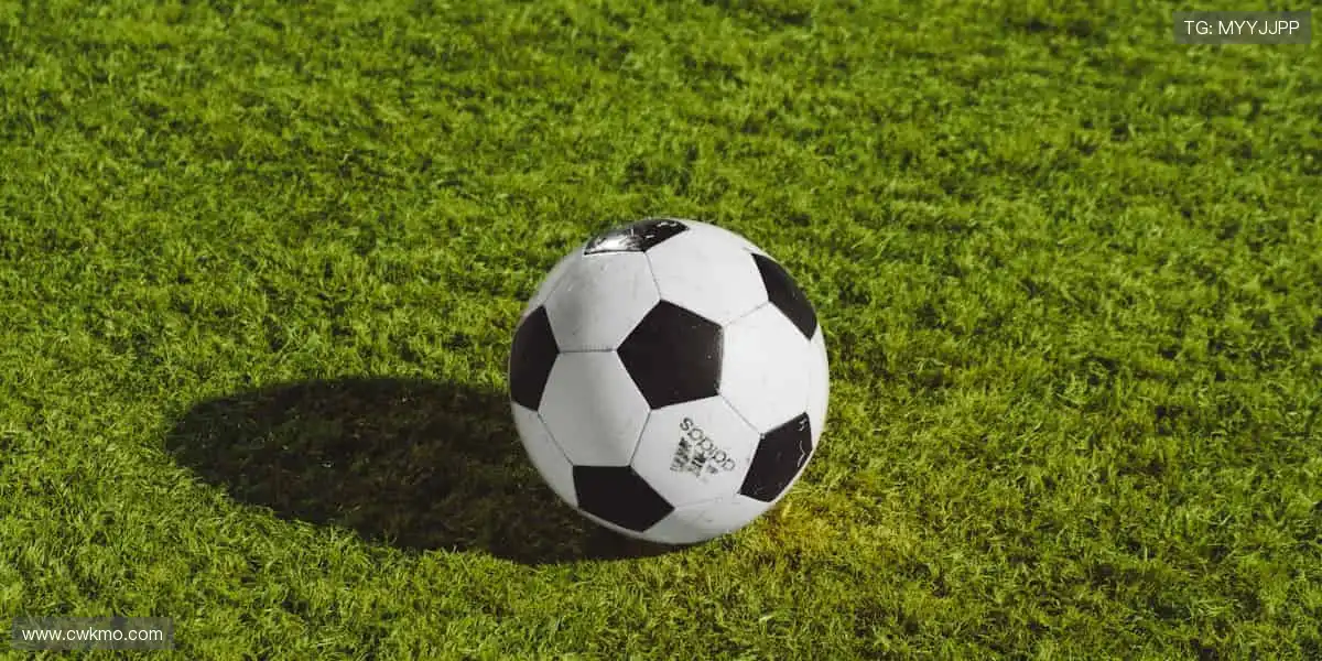 ⚽全球赛事，指尖掌控每分精彩！